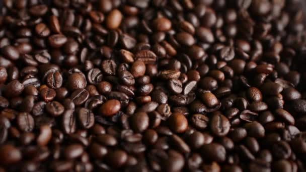 Les grains de café sont chargés dans la machine expresso pour le broyage — Video