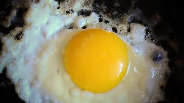 Natürliches Ei auf Pfanne — Stockvideo