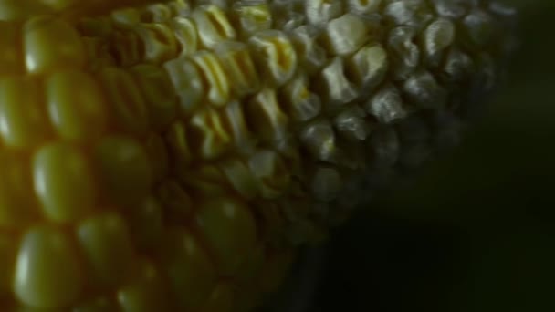 Свежая кукуруза. Макровзгляд — стоковое видео