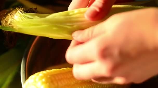 Hands of Young Girl Opening Ear of Corn — Stock Video