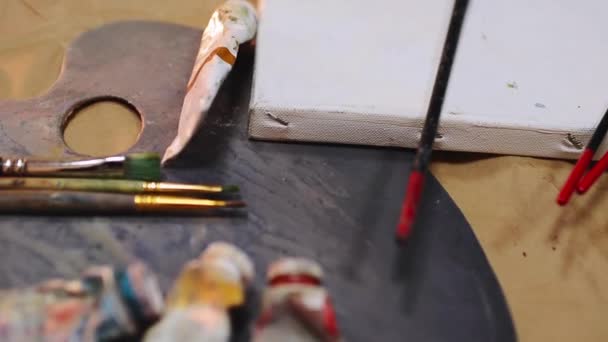 Palette d'artistes et pinceaux — Video