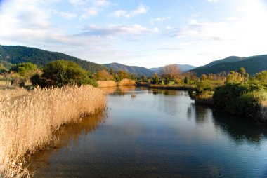 Harika manzara resim