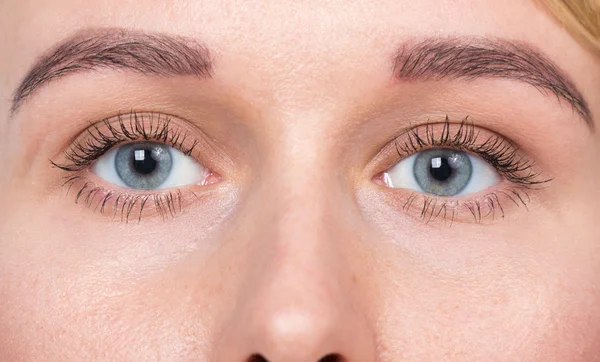 Closeup of blue eyes woman without makeup — Stock Photo, Image