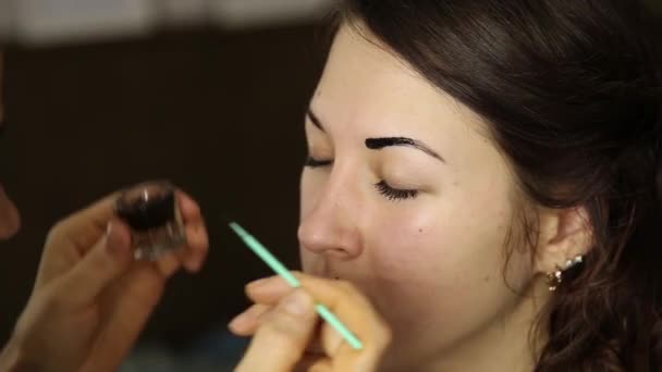 Artista de maquillaje pinta las cejas de una hermosa modelo de chica usando cepillo — Vídeos de Stock