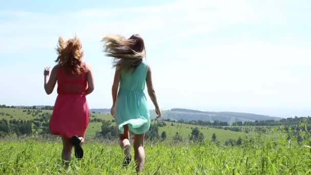 Twee jonge vriendin lopen hand in hand op de groene weide — Stockvideo