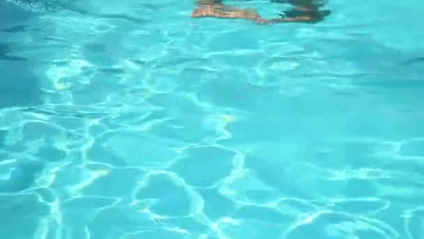 Young happy woman swimming in a swimming pool — Stock Video