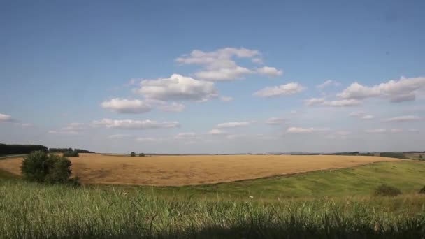 Время с облаками, движущимися над желтым полем — стоковое видео