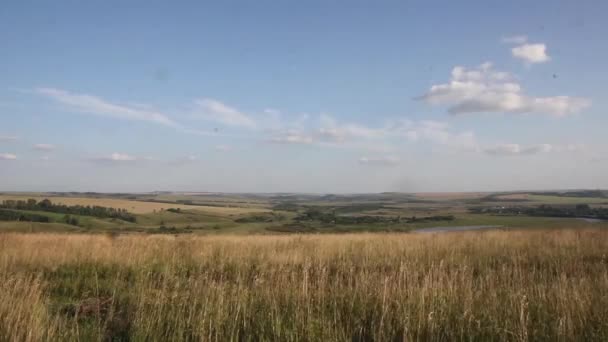 Timelapse з хмарами, що рухаються над жовтим полем — стокове відео