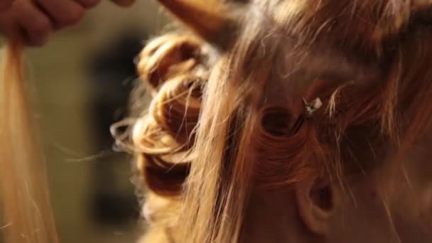 Час у салоні краси. Молода жінка в салоні краси, перукар робить зачіску з завитками до красивої моделі — стокове відео
