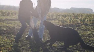 Köpek eğitmeni, güneşli bir günde tarlada siyah bir çobanla çalışmada eğitmen rehberliği yapar.