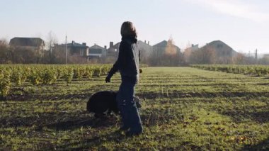 Köpek eğitmeni açık alanda yetenekli çoban köpeğiyle çalışırken aynı zamanda oyuncu eğitim aktivitelerine katılıyor.