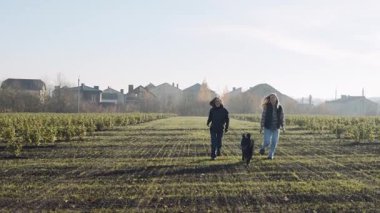Dog handler walks with dog and woman in vineyard field under clear sky