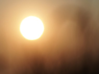 Doğa günbatımı arka plan ile günbatımı, çimen çiçek alanı.