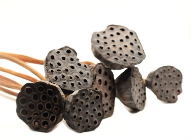 Beyaz arka plan üzerinde izole seçin odak lotus tohumları