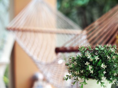 Bir güneşli yaz gününde odak hamak görünümünü seçin