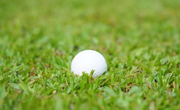 Crystal vit boll på grönt gräs i golfbana — Stockfoto