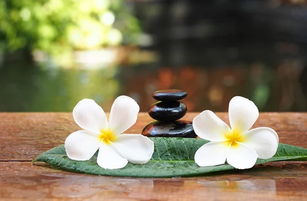 Wellness massage met bloem en rock spa op de bladeren, Thailand — Stockfoto