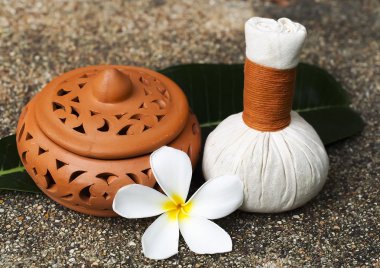 Spa Masaj sıkıştırmak topları, çiçek, Tayland ile bitkisel topu