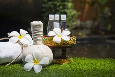 Spa Masaj sıkıştırma topları, tuz, zerdeçal ve aroma, Tayland, Thailand, bitkisel top odağı seçin