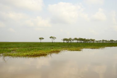 Yeşil Yaz çayır ve gölet mavi bulutlu gökyüzü ile