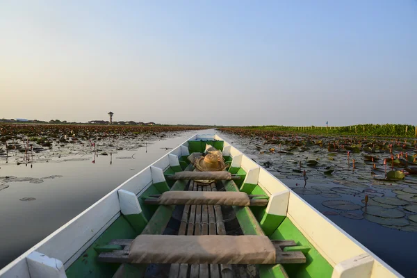 Schöne grüne Natur Ansicht der weißen Samet Baum und Wasser Mimosen bei Talay-Noi Feuchtgebiet in der Provinz Phattalung, Thailand — Stockfoto