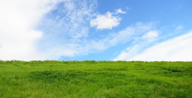 Yeşil tarla ve açık bulutlu mavi gökyüzü