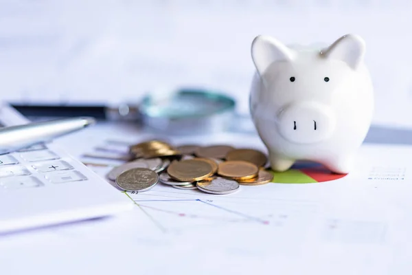 小猪银行存款和投资与包括许多经济统计业务在内的统计会计信息 报告财务背景 投资概念 — 图库照片