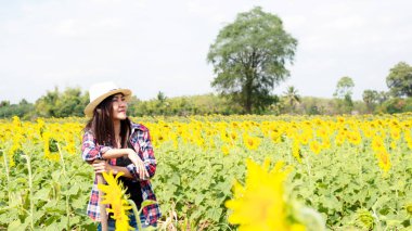 Ayçiçeği tarlasında çalışan çiftçi kadınlar. Tarım ve Yaşam Tarzı Konsepti.