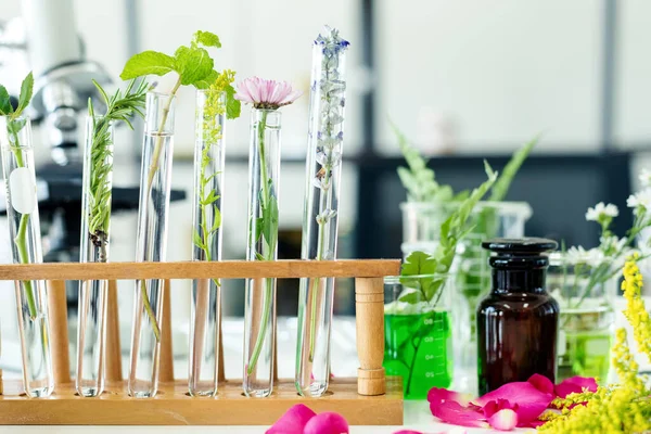 Science Lab Forskning Med Mikroskop För Naturlig Aromatisk Och Eterisk — Stockfoto