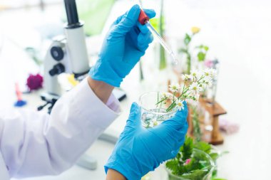 Doğal alternatif bitkiler için kadın bilim laboratuarı araştırmaları ve laboratuarında mikroskop bulunan taze çiçekten elde edilen temel yağ ürünleri kapatın. Sağlıklı bitki kavramı