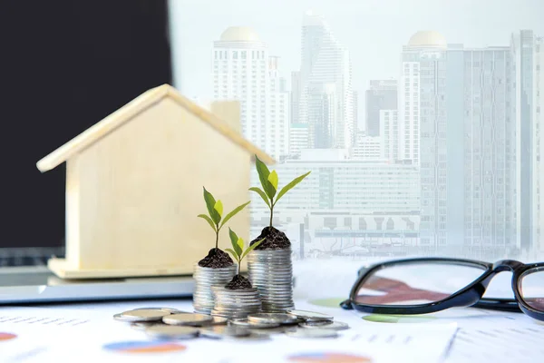 Investor of real estate. The plants growing on money coin stack for investment home green nature background.  Investment mortgage fund finance and interest rate home loan.  Investment Concept