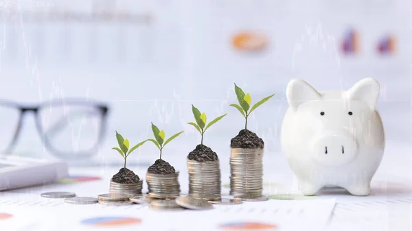 Piggy Tree Growing Money Coin Stack Investment Saving Financial Report — 图库照片