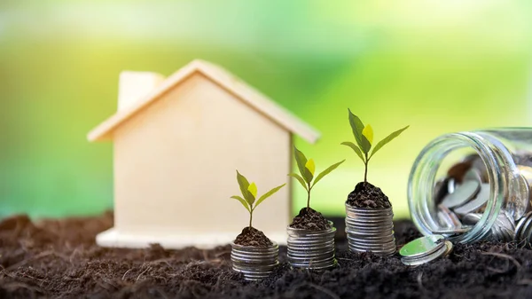Investor Real Estate Plants Growing Money Coin Stack Investment Home — Stock Photo, Image