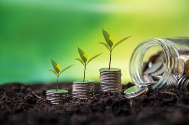 Emeklilikten sonra tasarruf ve yatırım için büyüyen para yığını ve kuru arka planda yaşlılar. Yatırım Kavramı için kaydediliyor