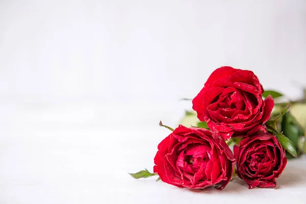 Ημέρα Του Αγίου Βαλεντίνου Κόκκινο Τριαντάφυλλο Καρδιά Λευκό Φόντο Ερωτική — Φωτογραφία Αρχείου