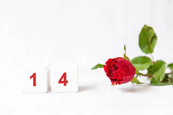 Valentine Day Red Rose White Wood Block White Background Lover — Stock Photo, Image