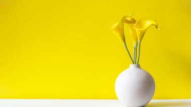 Sarı duvar ve zambak çiçeği, metin için kopyalama alanı. Durgun Yaşam ve Yaşam Tarzı Konsepti