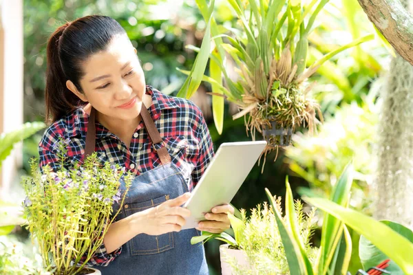 Mujer Asiática Cuidado Venta Flores Plantas Línea Jardín Gente Hobby —  Fotos de Stock