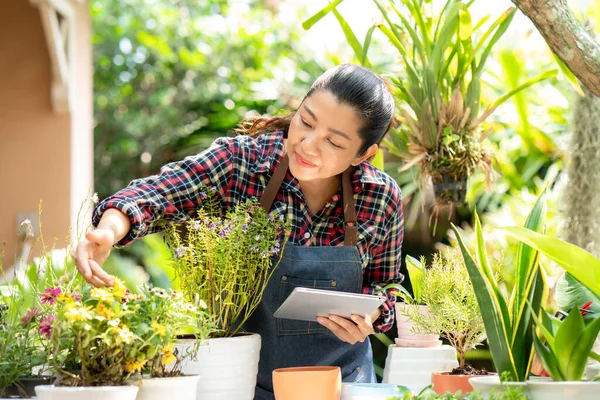 Mujer Asiática Cuidado Venta Flores Plantas Línea Jardín Gente Hobby —  Fotos de Stock