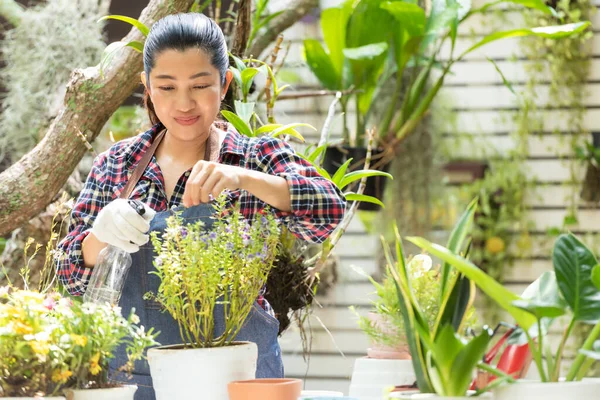 Wanita Asia Peduli Tanaman Bunga Kebun Hobi Orang Orang Dan — Stok Foto