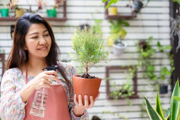 Mujer Asiática Cuidado Planta Flor Jardín Gente Hobby Jardinería Independiente —  Fotos de Stock