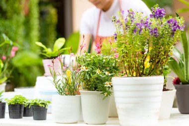 Bahçedeki çiçek ve ağacı kapat. İnsanların hobisi ve serbest bahçe işleri kapalı sera, doğa bahçesi geçmişi. Bahar ve yaz günlerinde mutlu ve eğlenin. Yaşam Tarzı Konsepti
