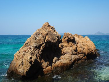 Düş sahne. Güzel ağaç beyaz kum plaj üzerinde