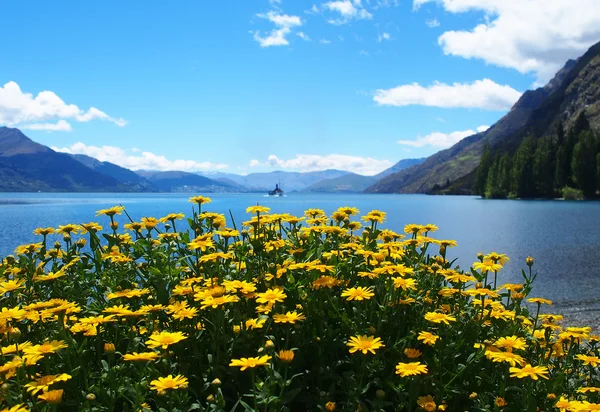 Bellissimo paesaggio Nuova Zelanda — Foto Stock