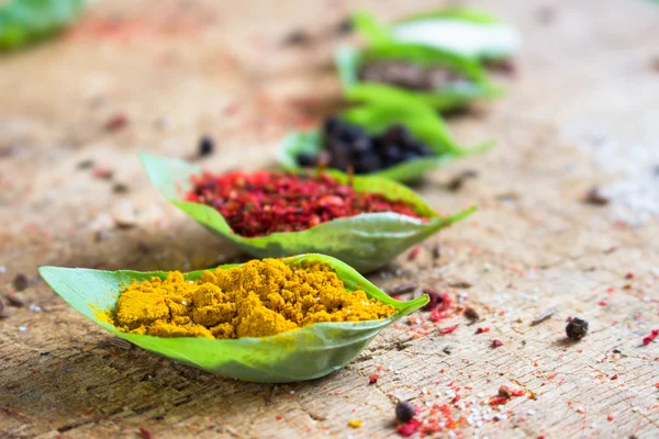 Different spices sprinkled in green leaves — Stock Photo, Image