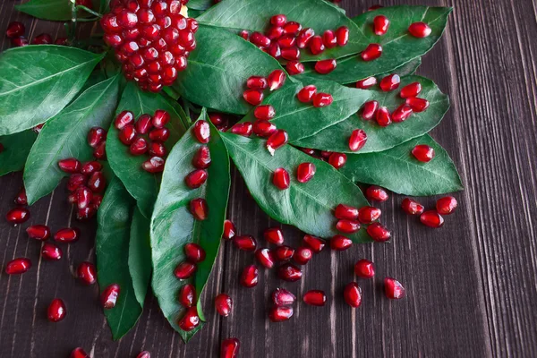 Olgun kırmızı nar tahıl