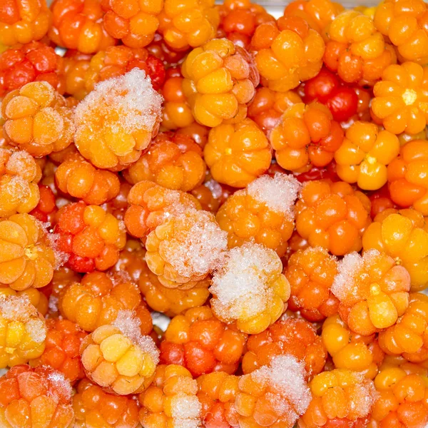 Frozen bright cloudberry Stock Photo