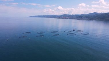 Balık havuzlarının görüntüsü, su kültürünün ana formu. Somon, levrek, levrek ve alabalık denizde, göllerde ve göllerde ticari balıkçılık için kullanılan balık havuzlarında en yaygın olarak yetişen balıklardır..