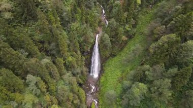 Dağlar, ormanlar, ağaçlar. Çam, sedir, hornbeam ormanları. İçlerinde nehirler ve şelaleler akan el değmemiş dağların doğal manzarası..