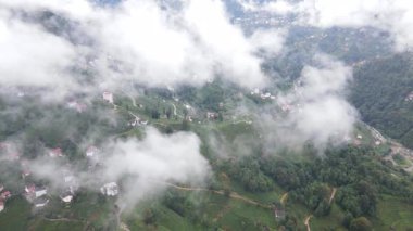 Yeşil çay bahçeleri ve yeşil çay bahçeleri üzerindeki dans eden bulutlar, Karadeniz 'deki Rize ilinin en önemli geçim kaynağıdır..
